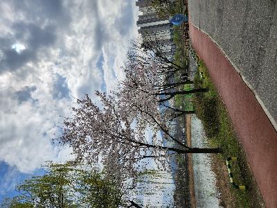 20240405_100612.jpg